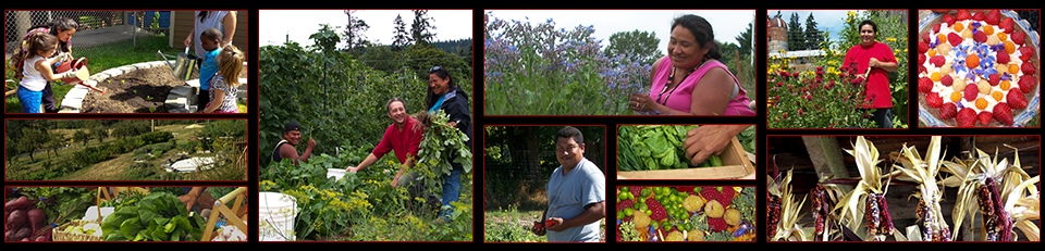 Garden Stand Banner.jpg